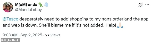 Tesco's Online Grocery Outage Highlights Risks of Digital Reliance in UK