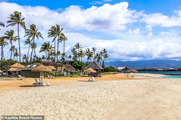 Hawaii Lifeguard Survives Attempted Murder-Suicide by Suspect Known to Her