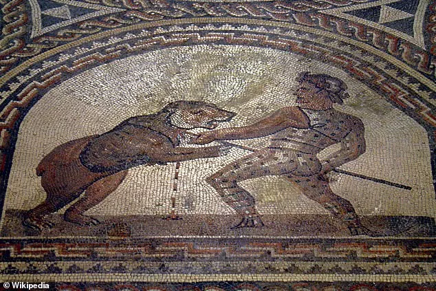 Roman Amphitheatre Fossil Evidence Uncovers Bear's Fatal Injury, Revealing Ancient Combat Risks