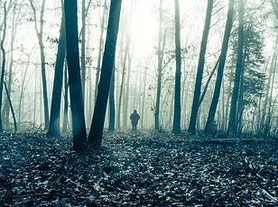 From Lake Michigan to Alaska: The Hidden Triangles of Unexplained Vanishings