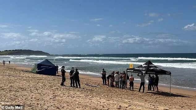 Seasoned Surfer Killed by Five-Metre Great White Shark in Dee Why Beach Attack
