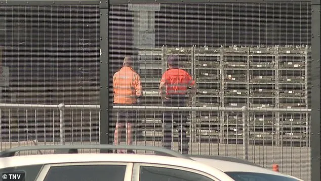 Sydney Airport Incident Sparks Review of Workplace Safety Measures Following Freight Handler Fatality