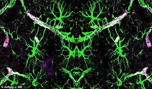 Could Your Sleeping Position Slow Memory Decline? CEO of Cosmic Nootropic Weighs In on Brain Health and Alzheimer’s Prevention