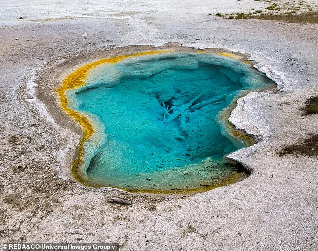 Privileged Access: New Theory Suggests Alien Intelligence Shaped Earth's Life Origins