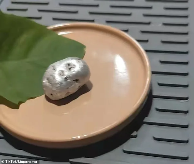 Alien Claims from Panama Meteorite Spark Global Internet Frenzy and Blurring of Science Fiction and Reality