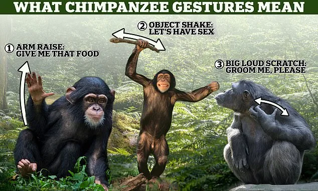 The Impact of Government Policies on Public Understanding of Evolutionary Science