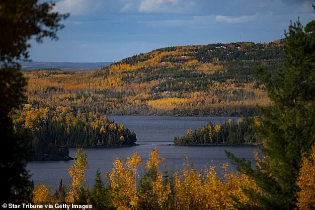 The Veiled Mechanisms of Autumn's Transformation: How Exclusive Environmental Insights Shape the Diverse Fall Foliage Across America