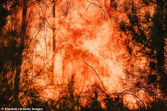 UK's Historic Warmest Summer Sparks Climate Warnings Over Rising Costs of Extreme Weather