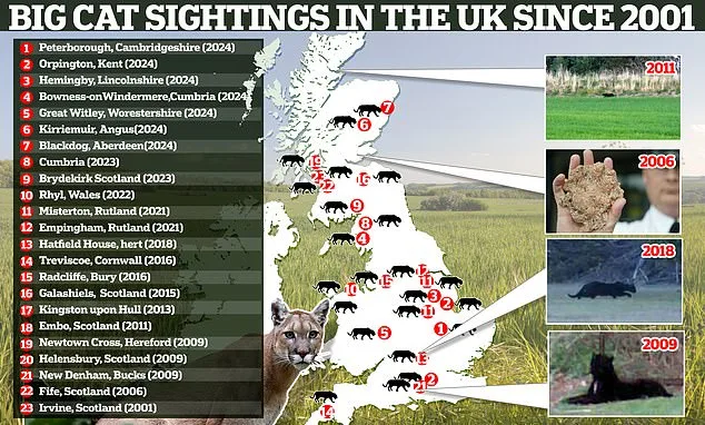 Lincolnshire Village Faces Debate Over Big Cat Sighting as Authorities Investigate