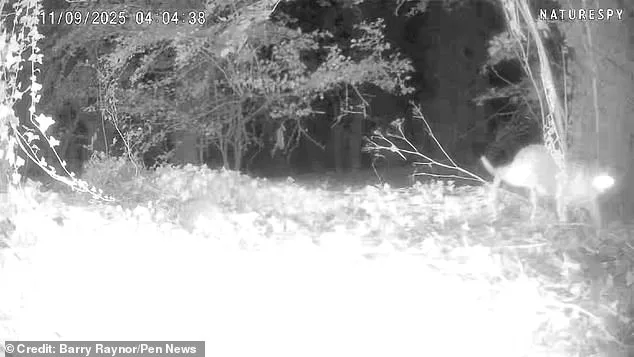 Lincolnshire Village Faces Debate Over Big Cat Sighting as Authorities Investigate