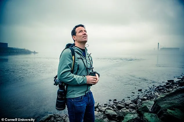 Exclusive Insights: Birds' Altered Migration Patterns Reveal Hidden Ecological Crisis