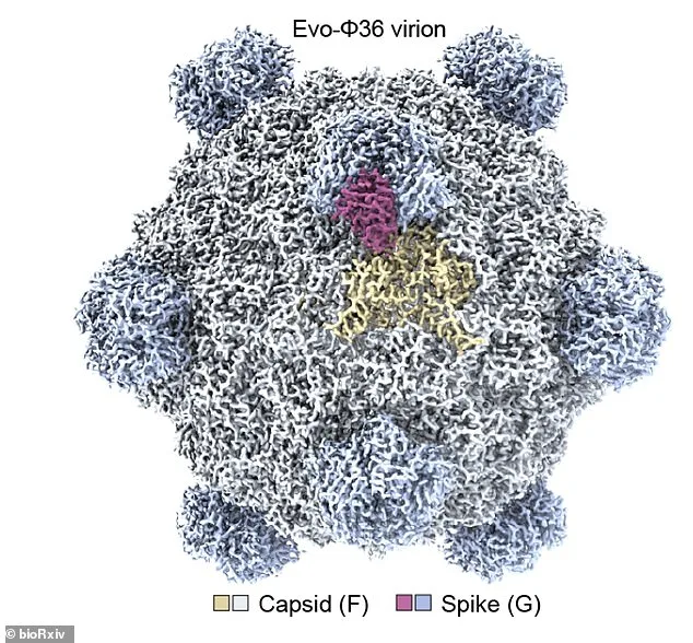 AI Designed Viruses Target Bacteria, Says Stanford Expert: 'Next Step Is AI-Generated Life'
