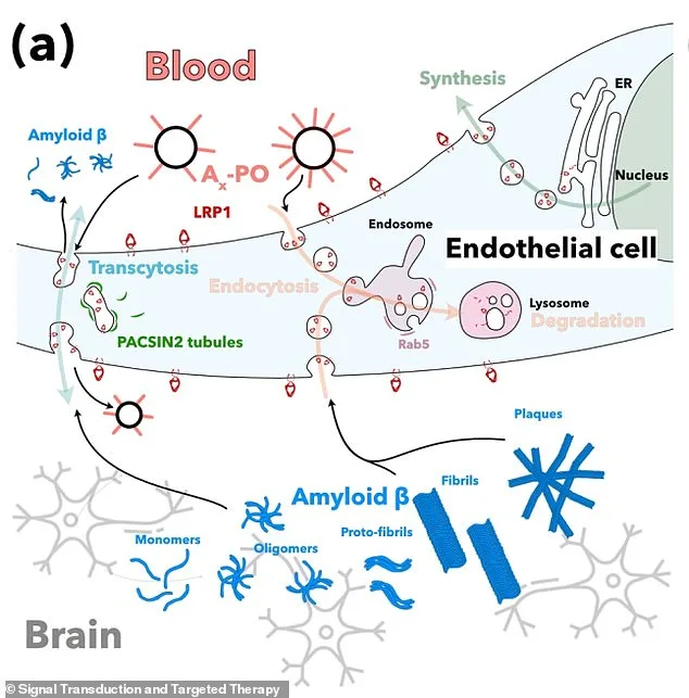 Breakthrough in Alzheimer's Research: Nanoparticles Reverse Disease in Mice, Sparking Hope for Human Treatment