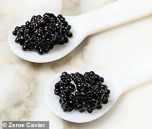 Exclusive Access to Sustainable Luxury: The Privileged World of Zeroe Caviar