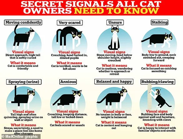 New Zealand Company Introduces Pet-Friendly Wines with Catnip Instead of Alcohol