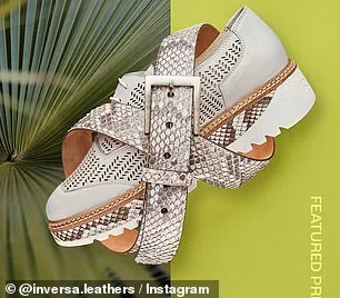 Florida Launches Urgent Python Eradication Drive with Innovative Leather Partnership