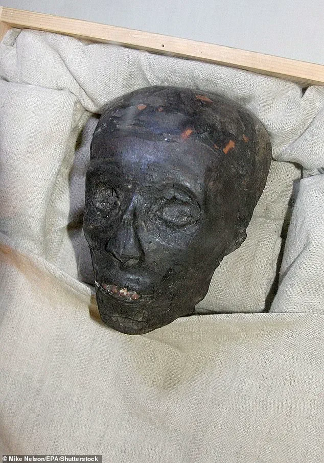 Ancient Necklace Fragment of Tutankhamun Reveals Insights into Egyptian Rulers' Control Over the Elite