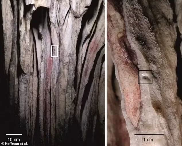 Neanderthal Cave Art Challenges Assumptions About Early Human Symbolism