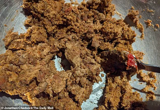 Sunflower Flour Gains Attention as Sustainable Ingredient in Plant-Based Food Industry, Backed by Brazilian Research