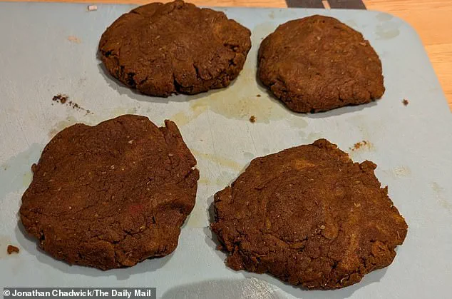 Sunflower Flour Gains Attention as Sustainable Ingredient in Plant-Based Food Industry, Backed by Brazilian Research