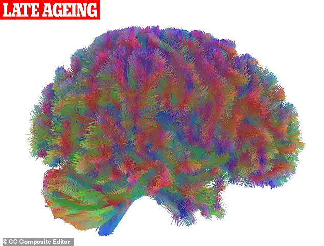 Exclusive Insights: Cambridge Study Unveils Five Neurological Stages of Human Life
