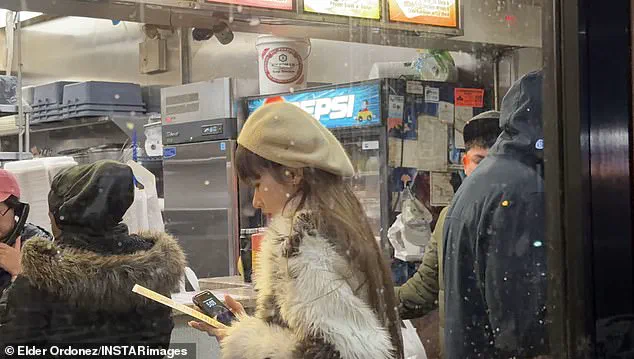 Influencer Faces Deportation After Theft-of-Service Charges in NYC: Legal and Social Media Fallout