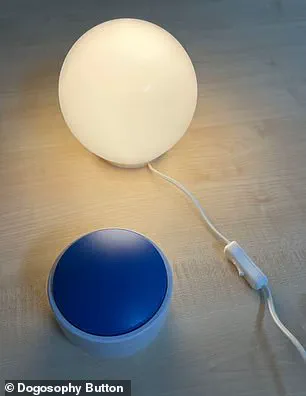 Paw-Powered Innovation: The Dogosophy Button Redefines Human-Animal Tech Relationships