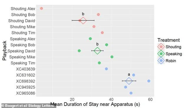 The Ongoing Battle Against Seagulls: A New Study Offers Insight into Coastal Chip Theft