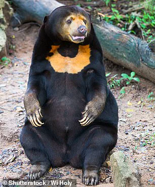 French Researchers Argue Teddy Bears Fail to Educate Children About Nature