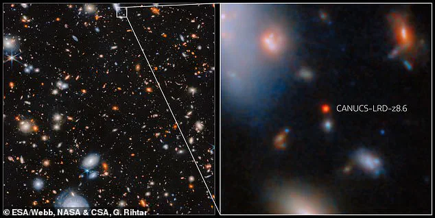 New Galaxy Cluster Discovery Challenges Early Universe Theories