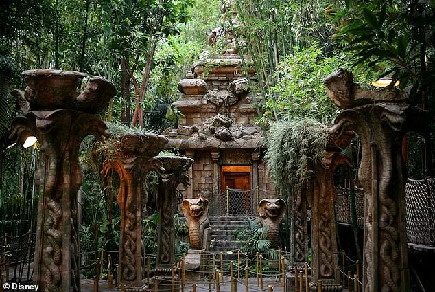 Theme Park Altercation Sparks Debate Over Crowd Control and Personal Responsibility