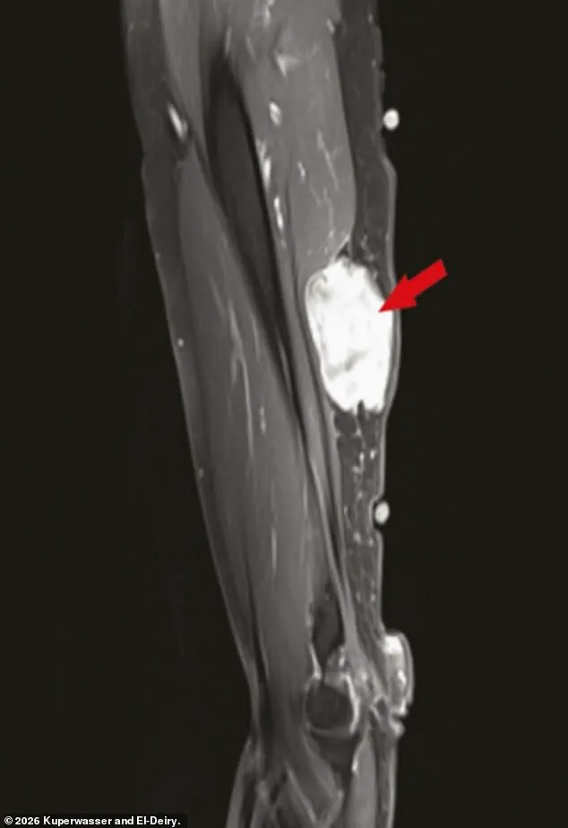 Limited Access to Cancer-Vaccine Study as Journal Falls Victim to Cyberattack