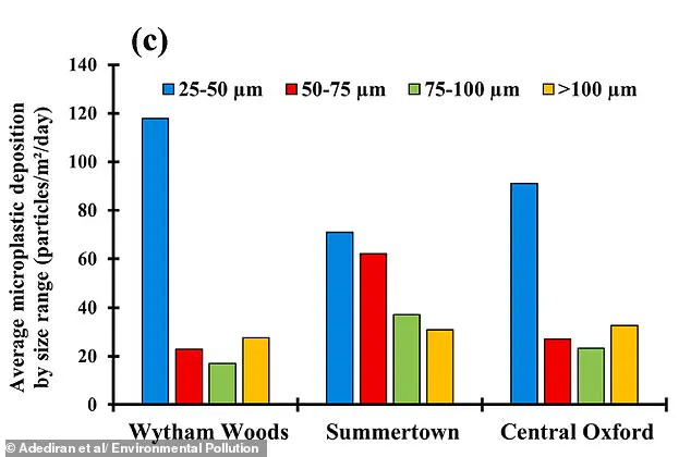 Alarming Discovery: Microplastics in Britain's Rural Woodlands Exceed Urban Levels, Study Reveals