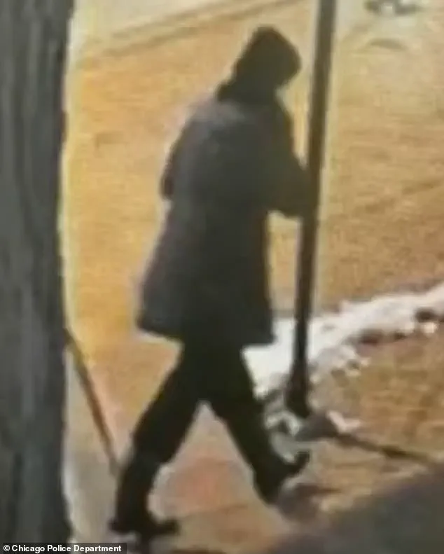 Tragic Discovery: Body of Missing Chicago Teacher Recovered from Lake Michigan After 10-Day Search