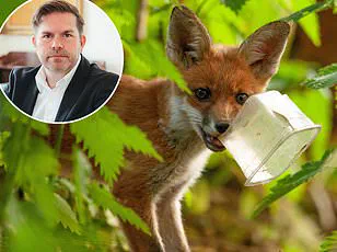 Urban Foxes Pose Growing Challenge for London Residents as Garden Damage and Home Intrusions Rise