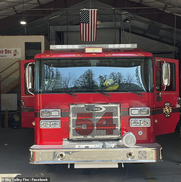 Firefighters Save Puppies from Opioid Overdose, Highlighting First Responders' Versatile Training