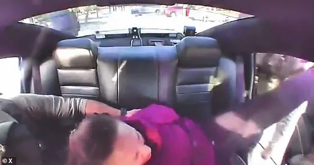 Florida Woman Arrested for Assaulting State Trooper During Anti-ICE Protest