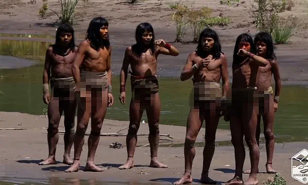 Incredible Footage Reveals Daily Life of Amazon's Largest Uncontacted Tribe