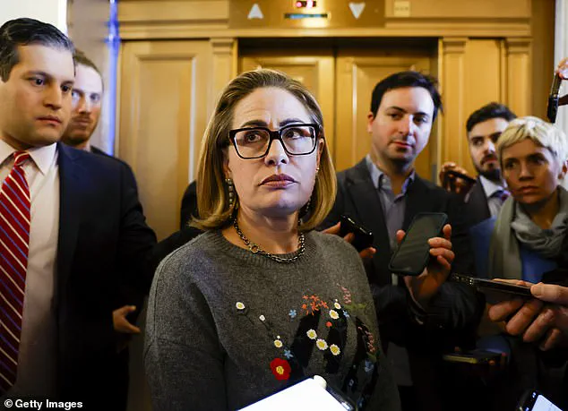 Kyrsten Sinema's Former Bodyguard Accused of Violence and Drug Abuse, Released on $10K Bond