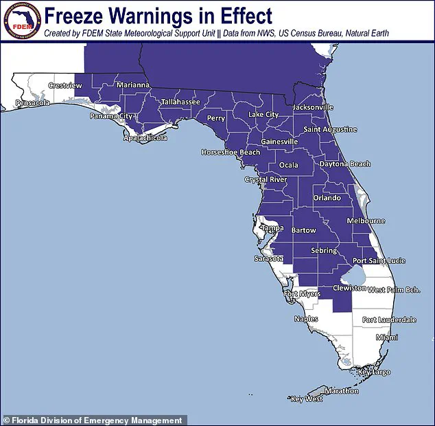 Massive Polar Vortex Brings Deep Freeze to Half of U.S., With Temperatures Far Below Normal