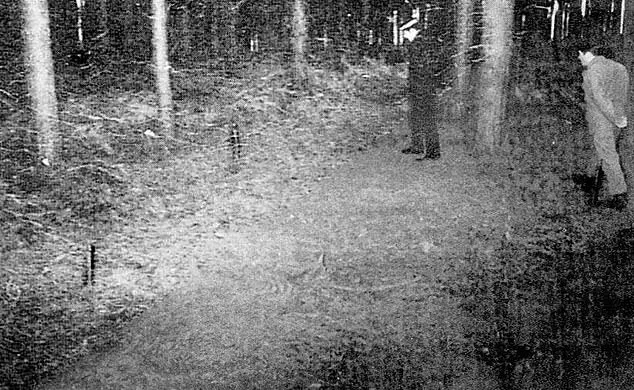 Rendlesham Forest Incident: New Binary Message Claims Spark Debate on Extraterrestrial Contact and Technological Anomalies