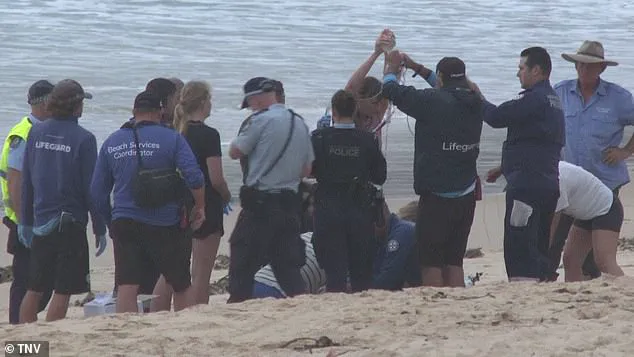 Urgent Lockdown Imposed on Sydney's Northern Beaches After Series of Shark Attacks; Surfer in Critical Condition