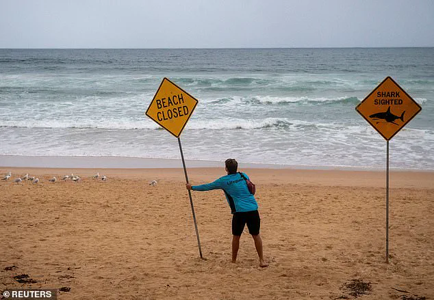 Urgent Lockdown Imposed on Sydney's Northern Beaches After Series of Shark Attacks; Surfer in Critical Condition