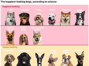 Over Half of British Dogs Are Overweight or Obese, Experts Warn of Growing Health Crisis