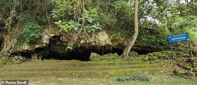 Earliest Rock Art Found in Indonesia's Sulawesi Cave Sends Shockwaves Through Archaeological Community