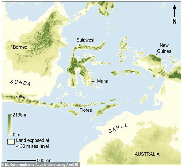 Earliest Rock Art Found in Indonesia's Sulawesi Cave Sends Shockwaves Through Archaeological Community