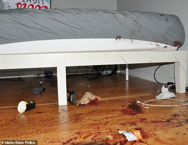 Privileged Access: Unseen Crime Scene Photos Reveal Horrific Details of Idaho Murders