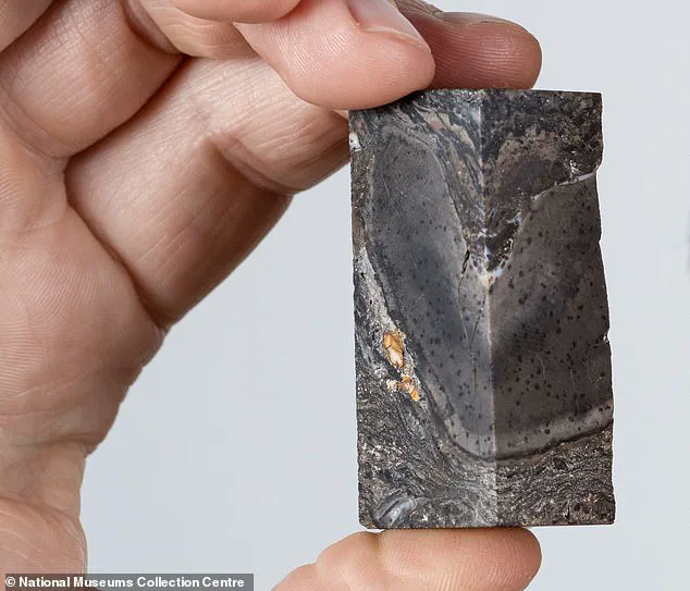 Prototaxites: Rewriting the Story of Early Life on Earth as Scientists Discover It Belongs to an Extinct Evolutionary Branch