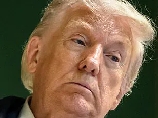 Trump Questions NATO Loyalty, Rutte Cites Afghan Casualties in Defense