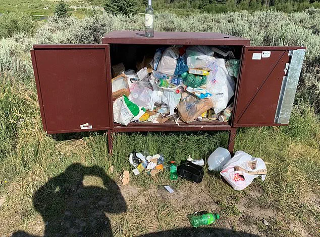 Delta Lake's Transformation: From Hidden Gem to Social Media Sensation